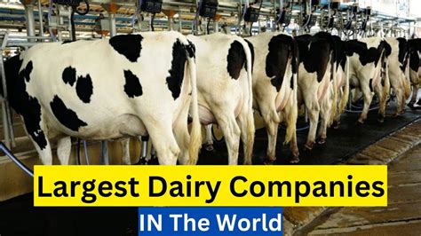 milk suppliers companies in my area